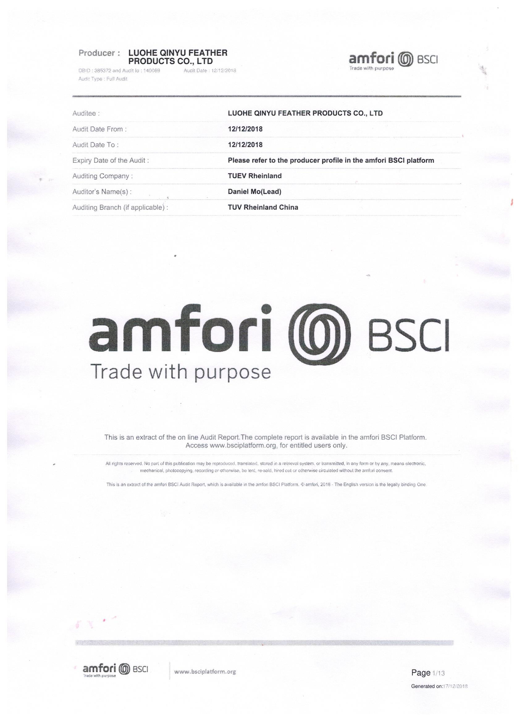 Our factory passed BSCI Audit 